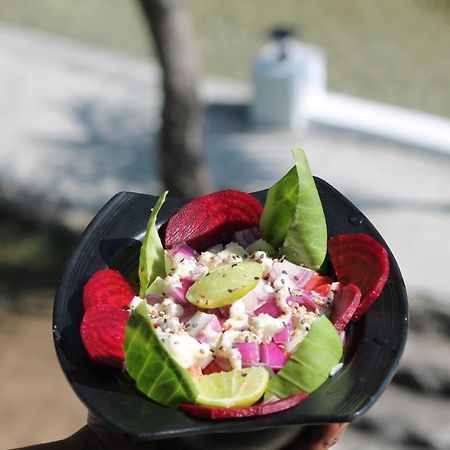 Shivanjal Wellness And Accommodation リシケーシュ エクステリア 写真
