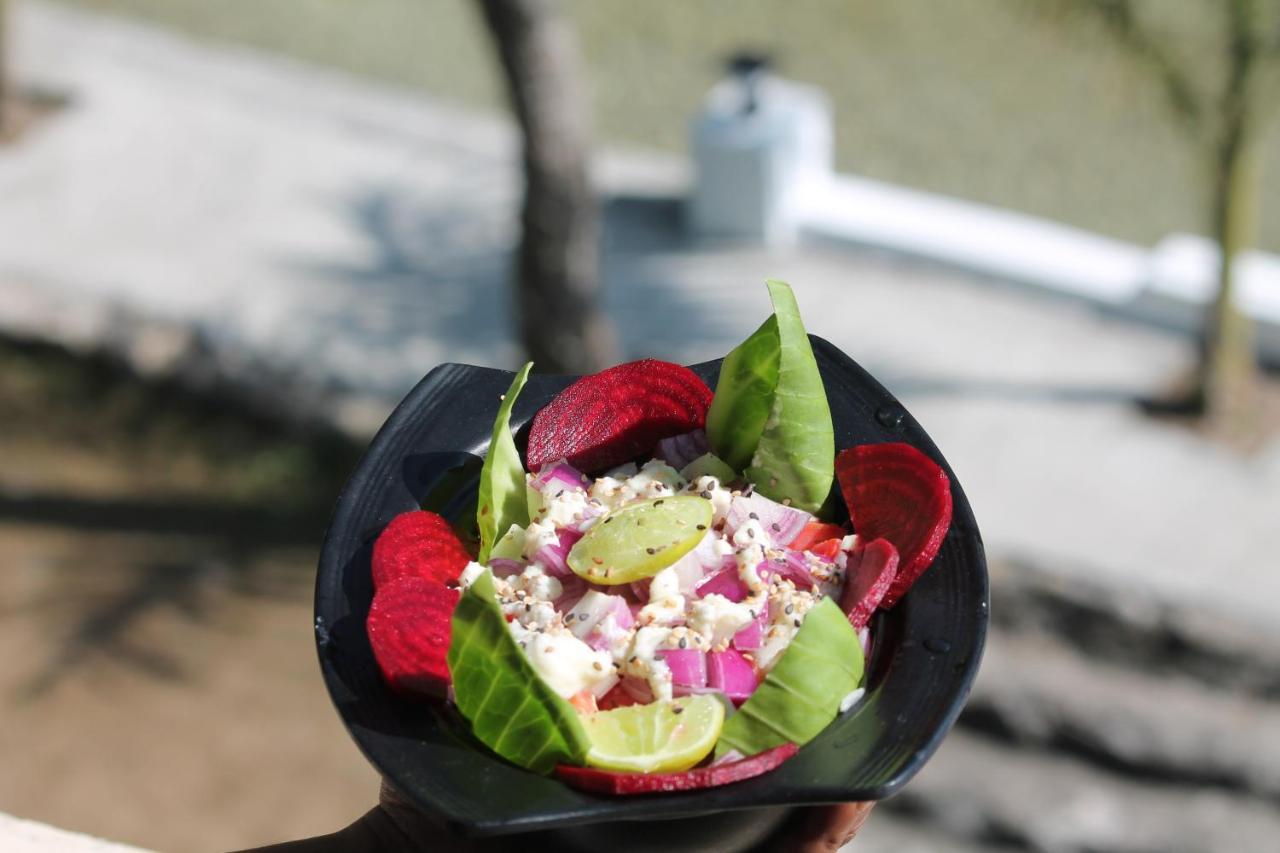 Shivanjal Wellness And Accommodation リシケーシュ エクステリア 写真